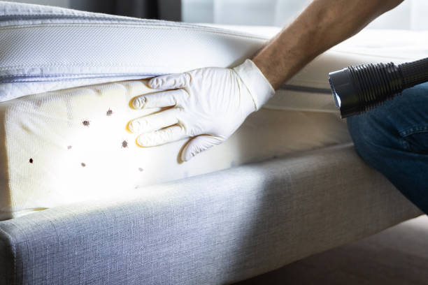 Best Flea Control Services  in Westfield Center, OH